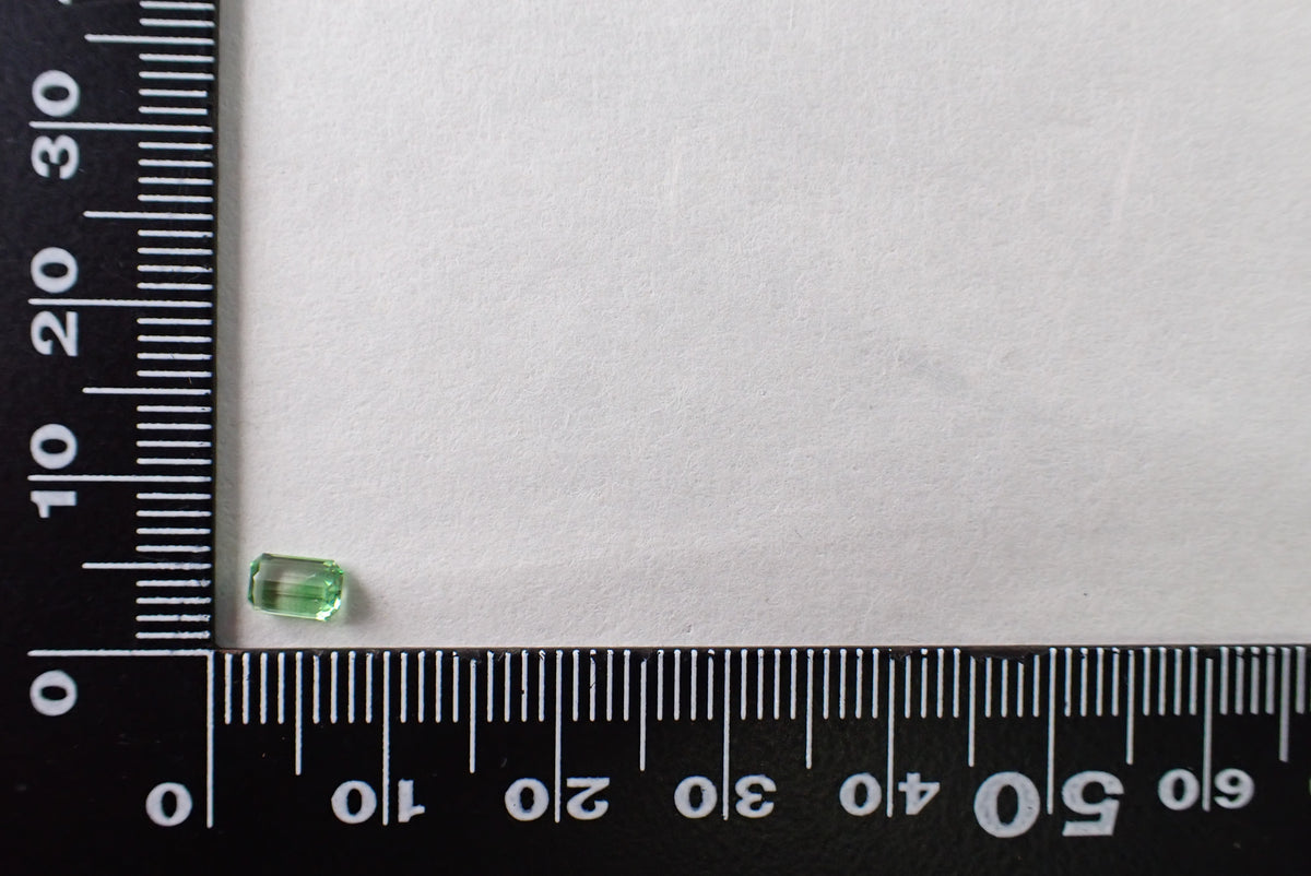 バイカラーグロッシュラーガーネット 0.50ct【AR1234】