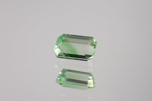 バイカラーグロッシュラーガーネット 0.50ct【AR1234】