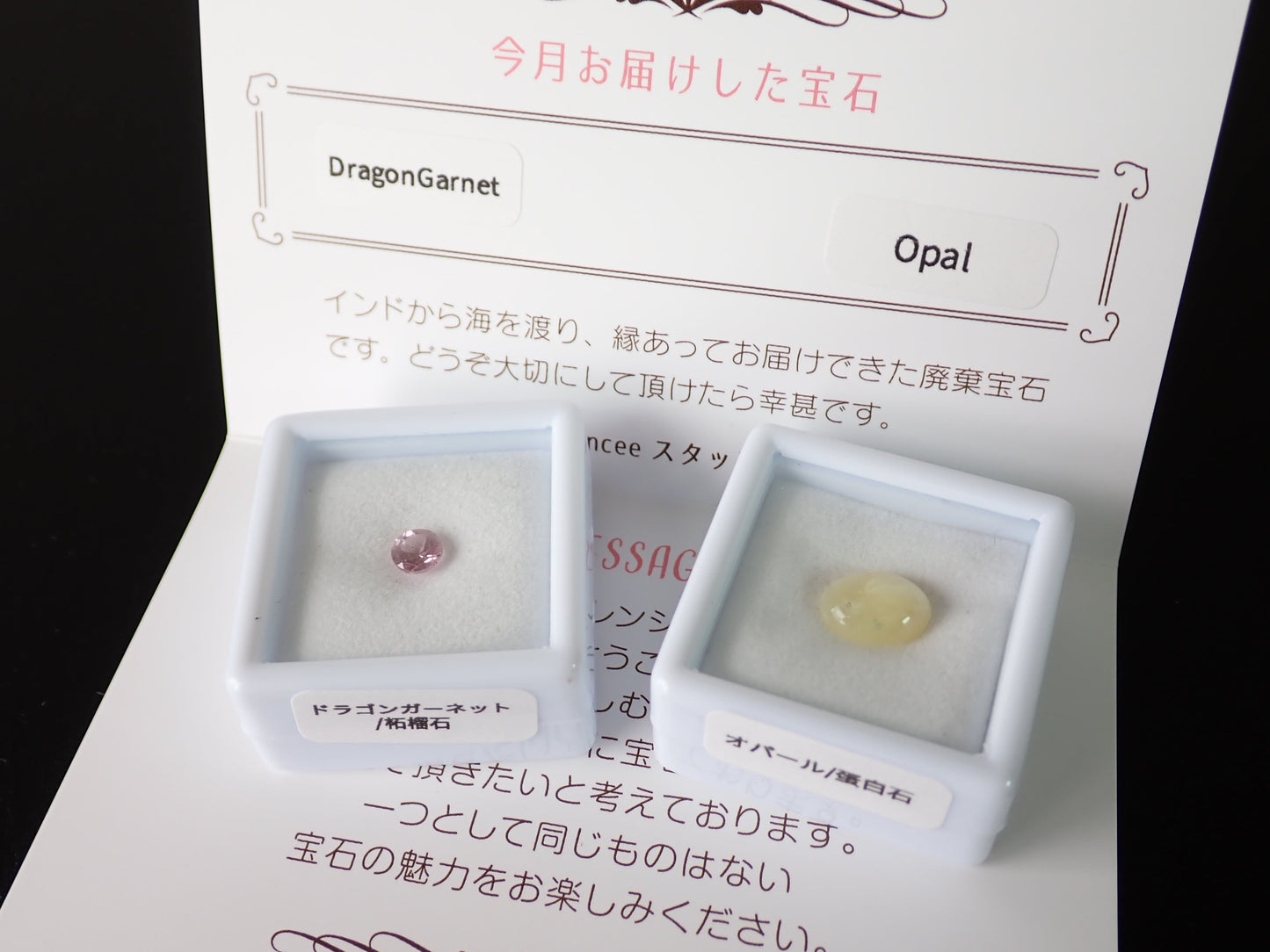 廃棄宝石定期便【プレミアムプラン】